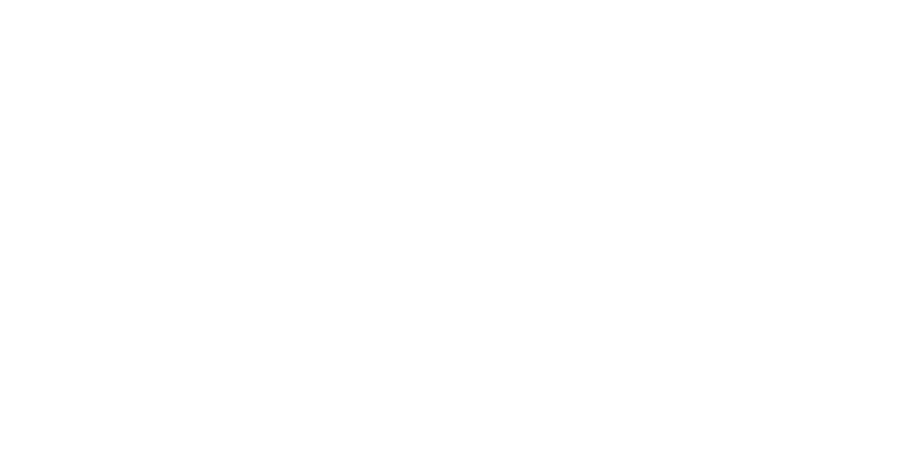 Denk Technik Logo